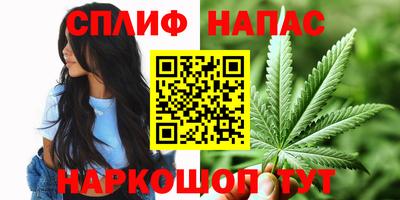 крисы Конаково