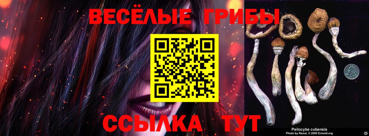 Псилоцибиновые грибы GOLDEN TEACHER Карпинск